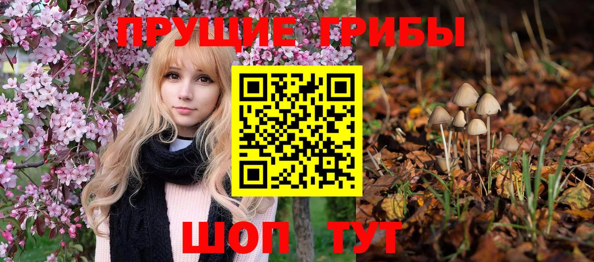 Галлюциногенные грибы GOLDEN TEACHER  Вход с VPN  Амурск  Псилоцибиновые грибы Psilocybe 